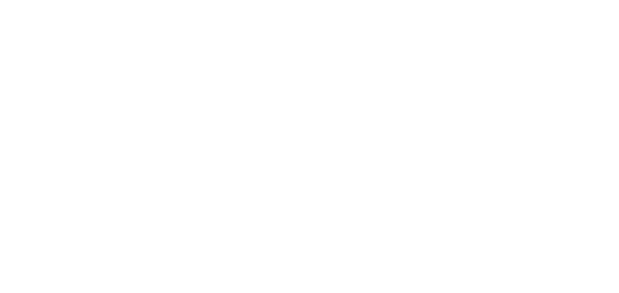 dev11